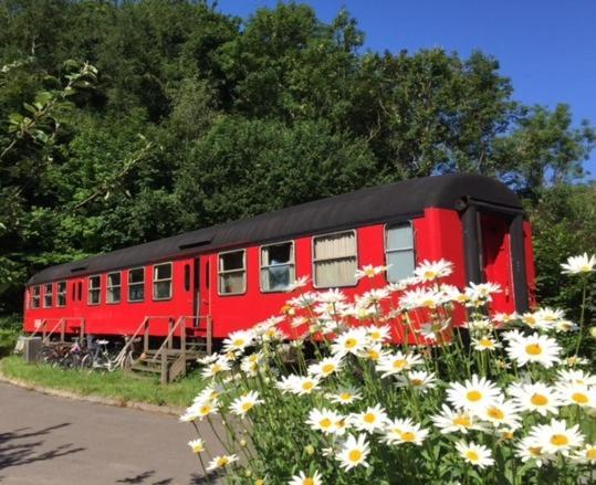 Gjerrild Gaestehus Djursland Hostel เกรนู ภายนอก รูปภาพ